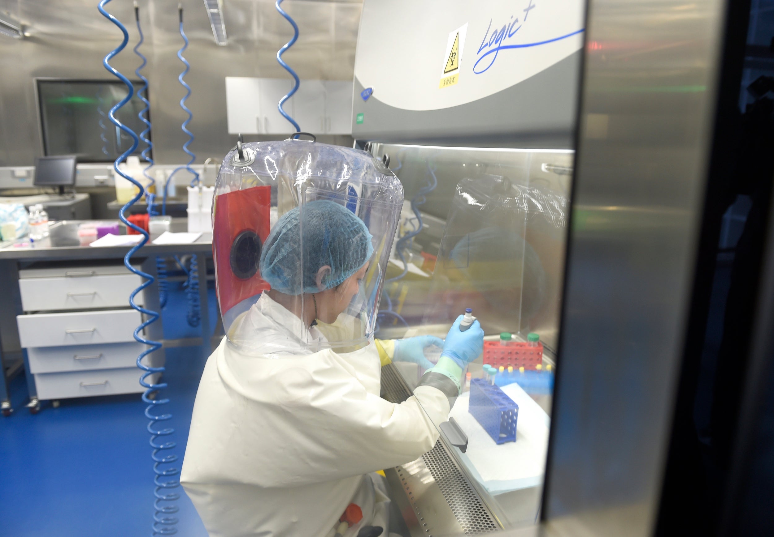 A researcher works in a lab of Wuhan Institute of Virology