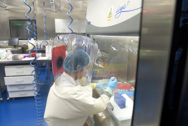 A researcher works in a lab of Wuhan Institute of Virology