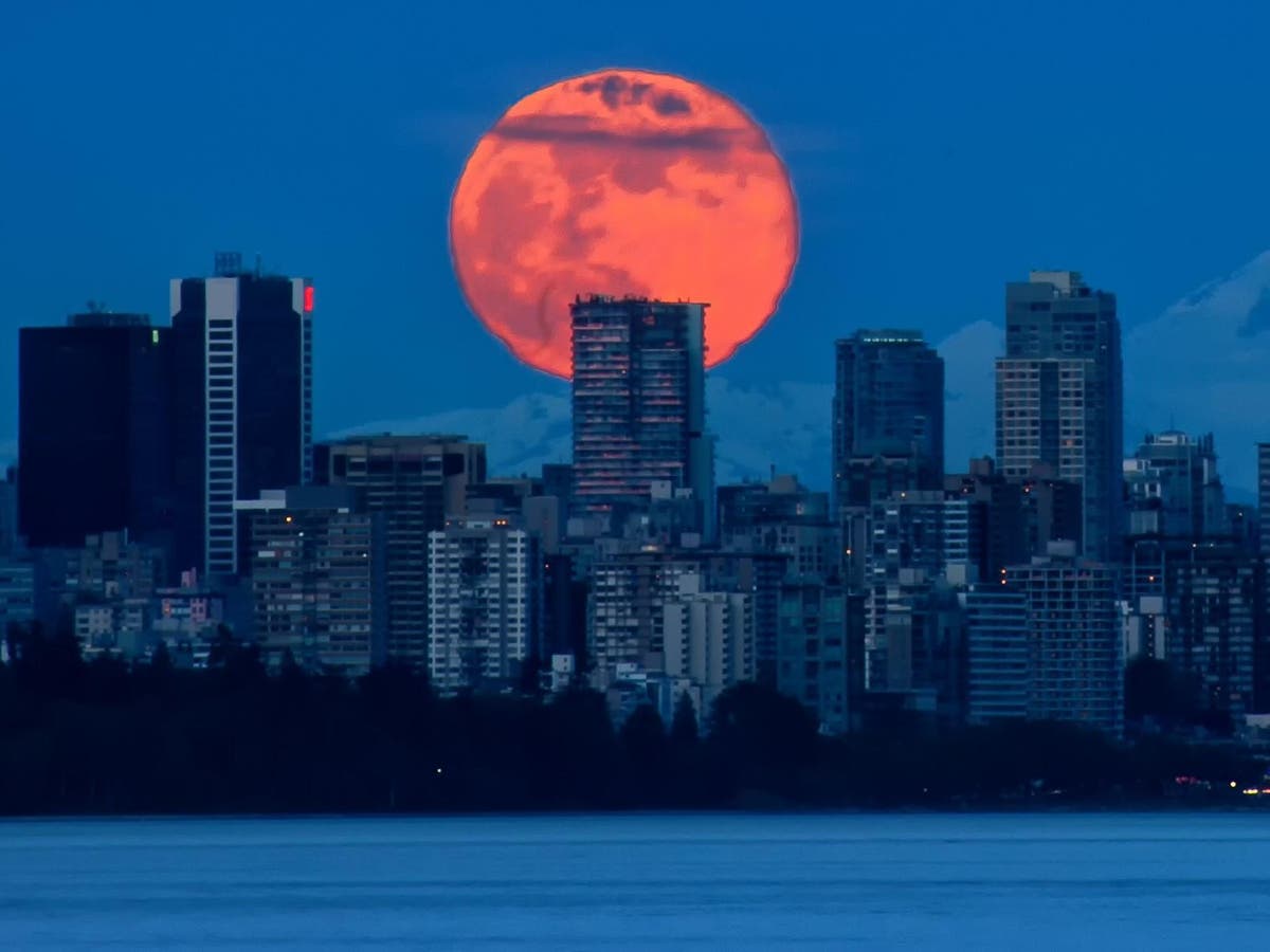 Flower full moon: How to watch the final supermoon of 2020 tonight