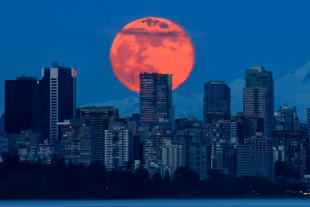 May's Flower full moon will be the final supermoon of 2020