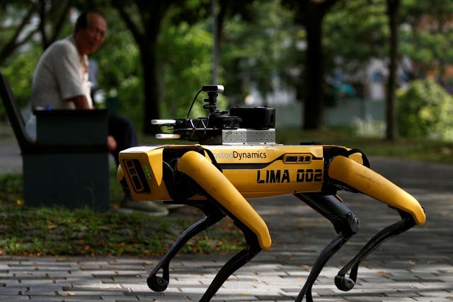A four-legged robot dog called Spot patrols a park in Singapore as part of measures to enforce social distancing