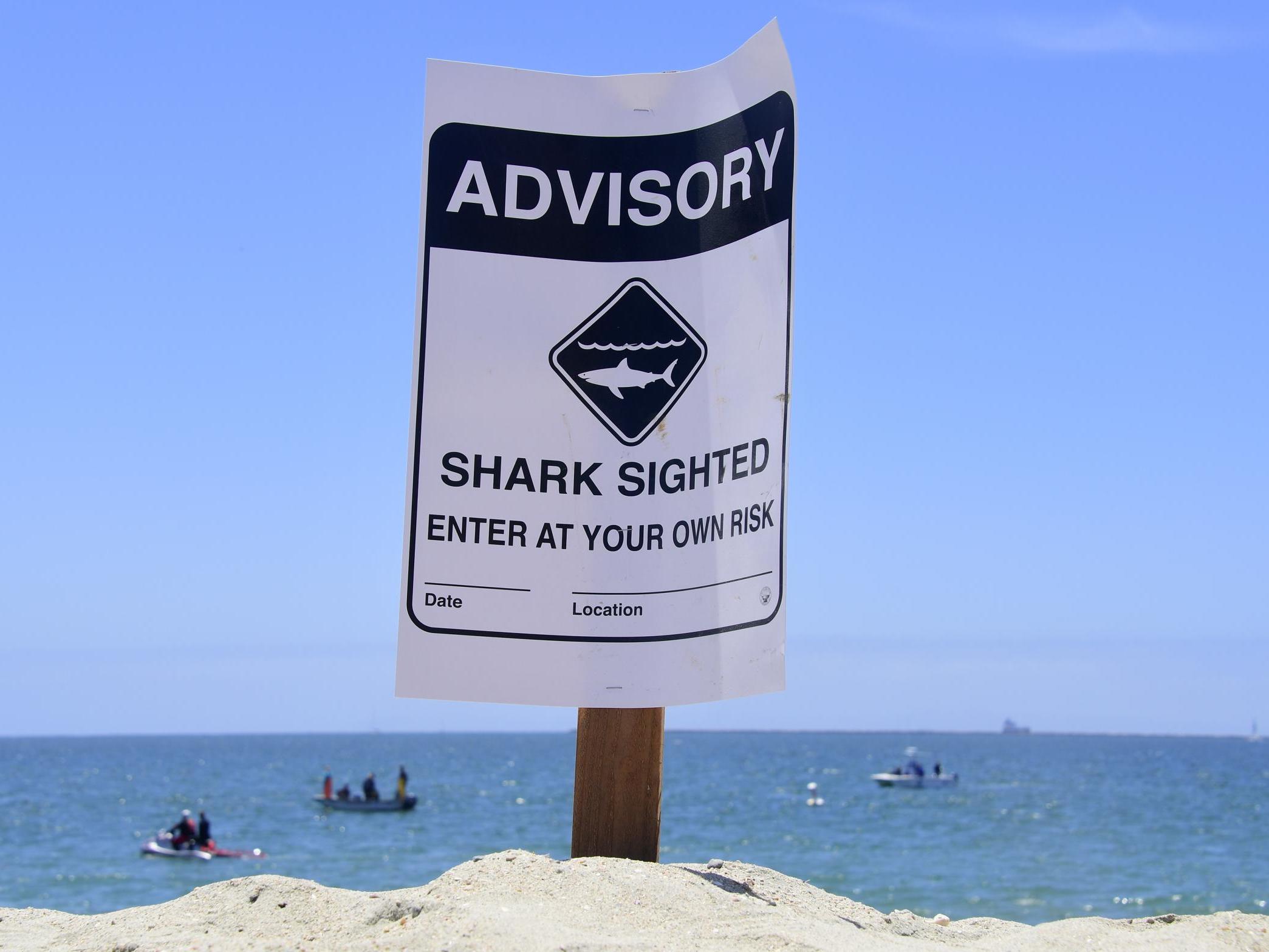 Ben Kelly died at the scene while surfing off Sand Dollar Beach on Saturday (pictured is a California shark advisory in 2017)