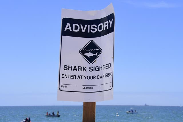 Ben Kelly died at the scene while surfing off Sand Dollar Beach on Saturday (pictured is a California shark advisory in 2017)