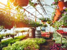 Garden centres reopening: Everything you need to know