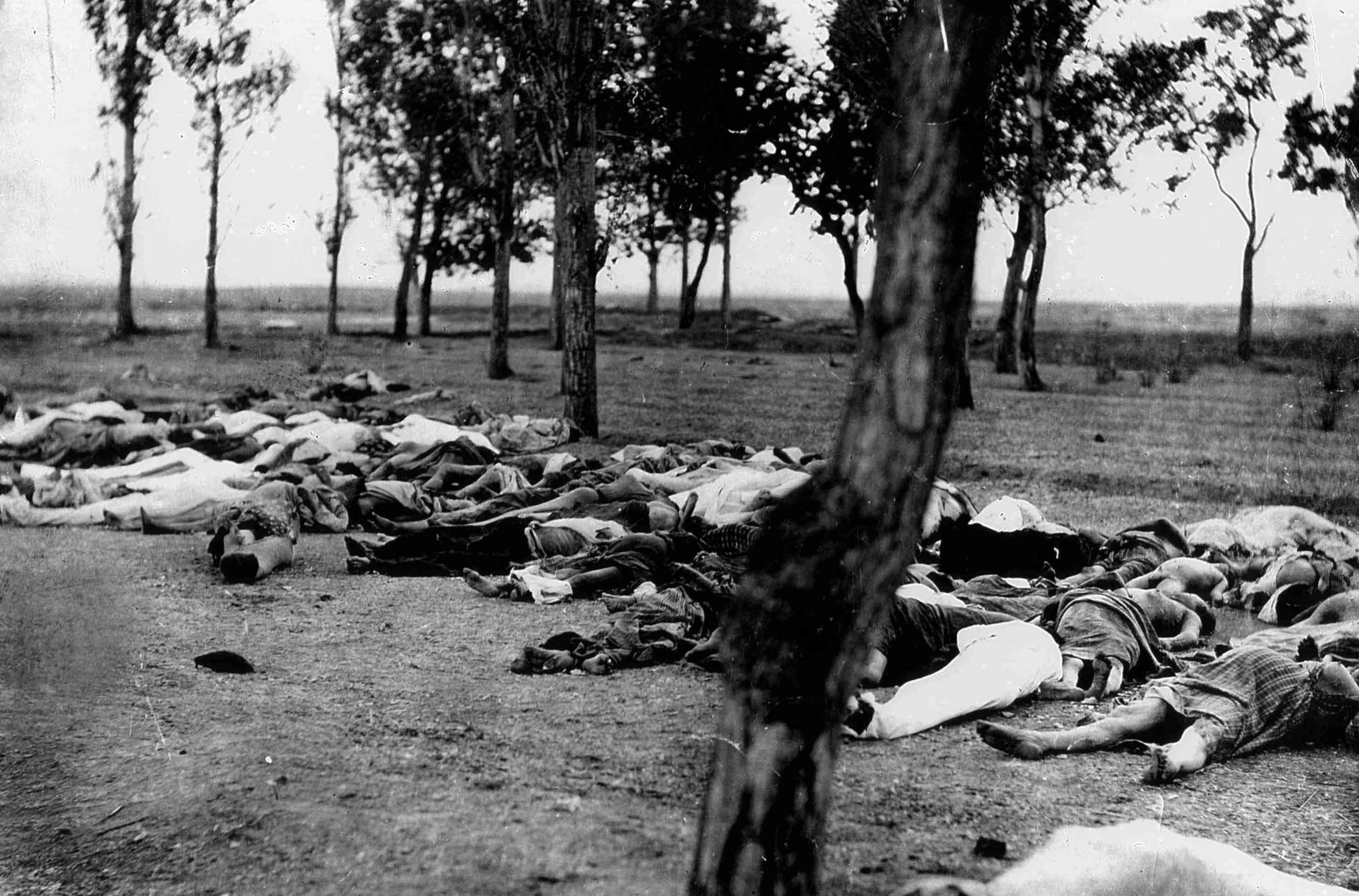 Armenians killed by Turks during the Armenian Genocide, 1915