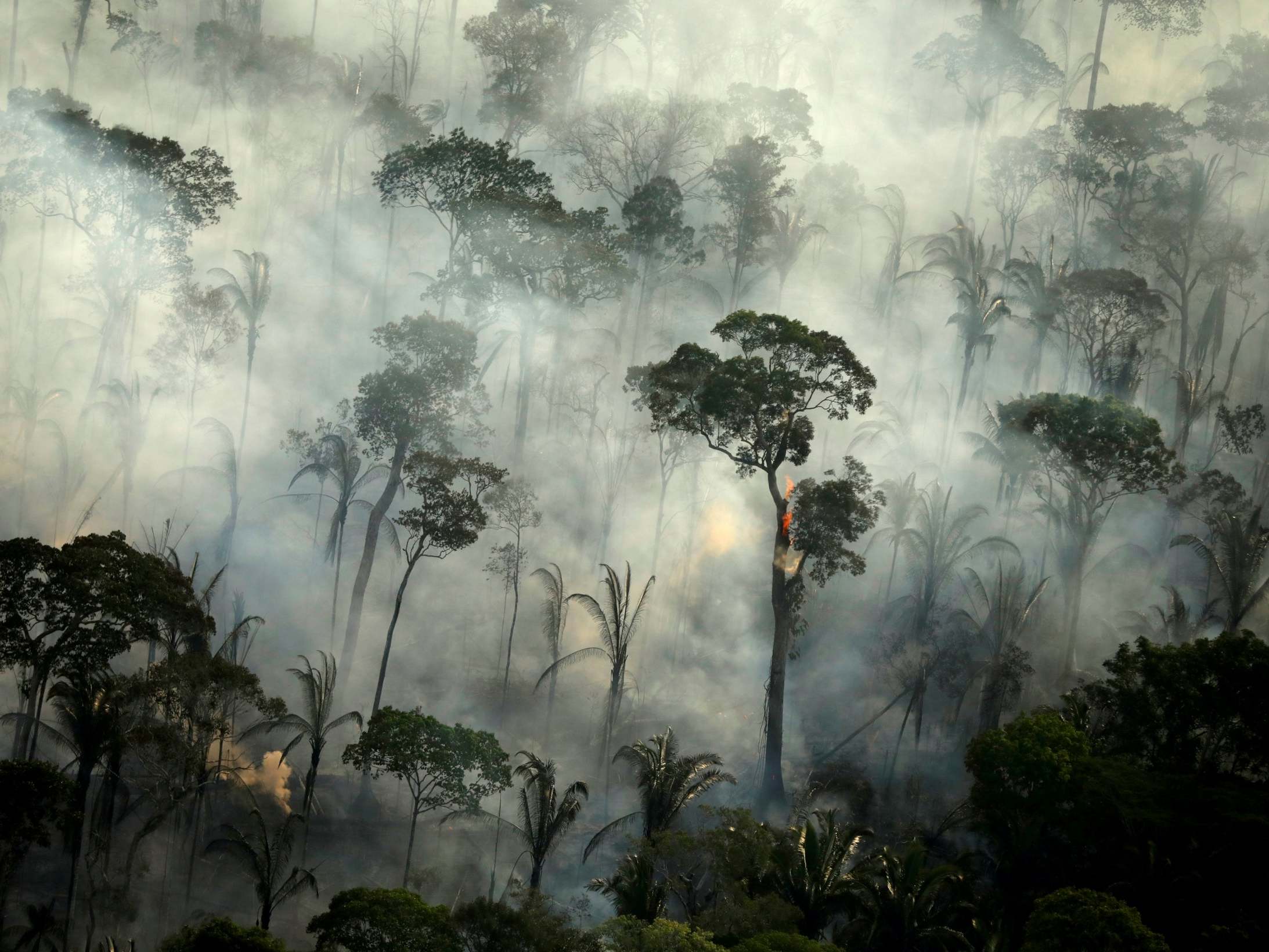 Brazil sends thousands of troops to protect Amazon rainforest amid concerns about surge in deforestation
