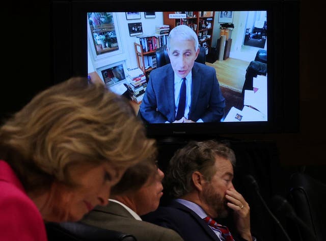 Anthony Fauci gives evidence remotely about the coronavirus pandemic to the Senate health committee