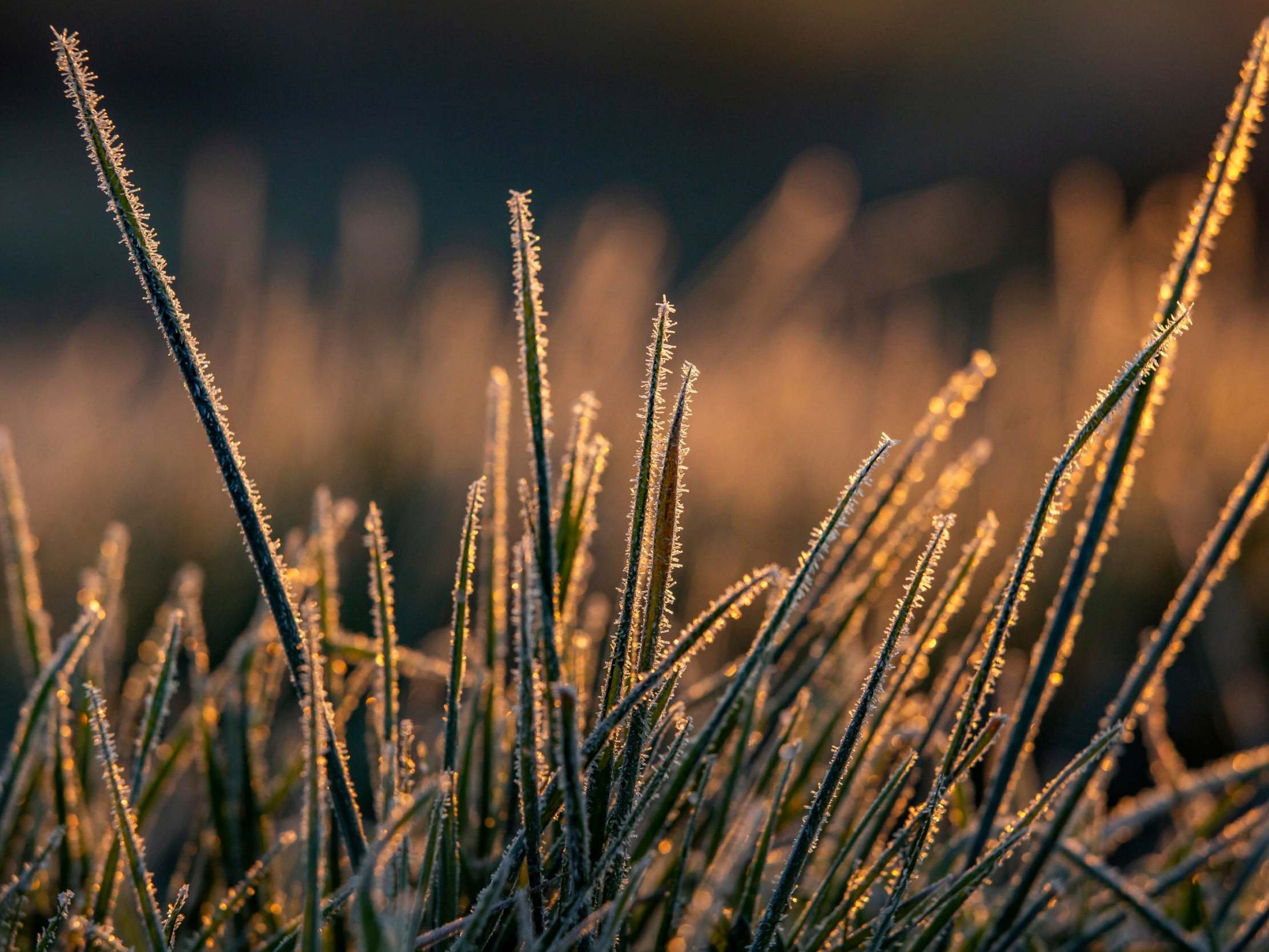 UK weather forecast: Cold, frosty nights to hit before warmer weather arrives in time for weekend