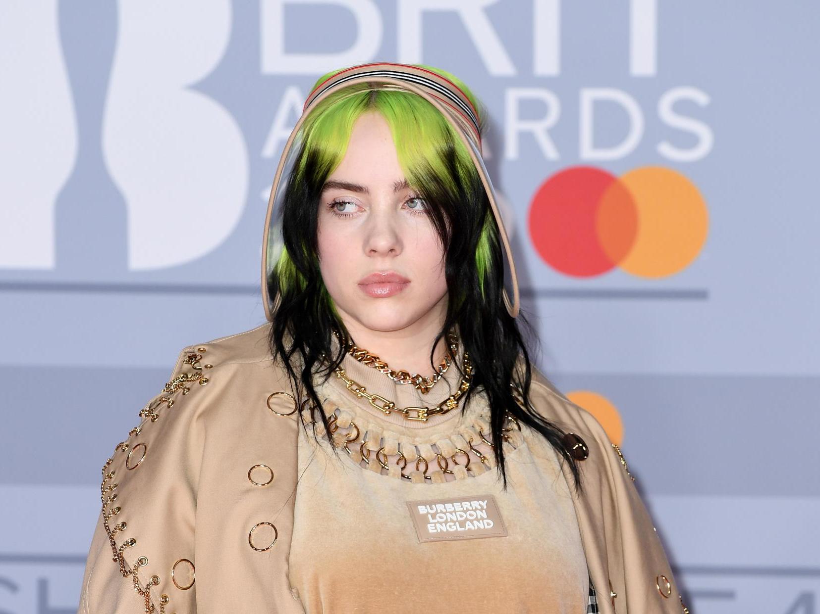 Billie Eilish Drops New Song My Future Along With Animated Music Video The Independent The Independent - billie eilish my future roblox id code