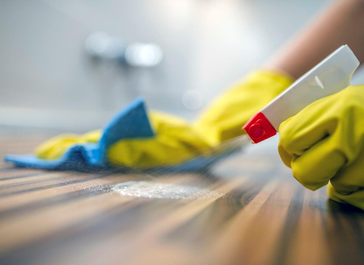 Lockdown British people say having a cleaner in your house is 'very
