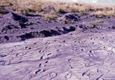 Ancient footprints increasingly reveal the secrets of the past