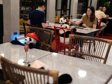 Thai diners sit next to toy pandas to prevent loneliness