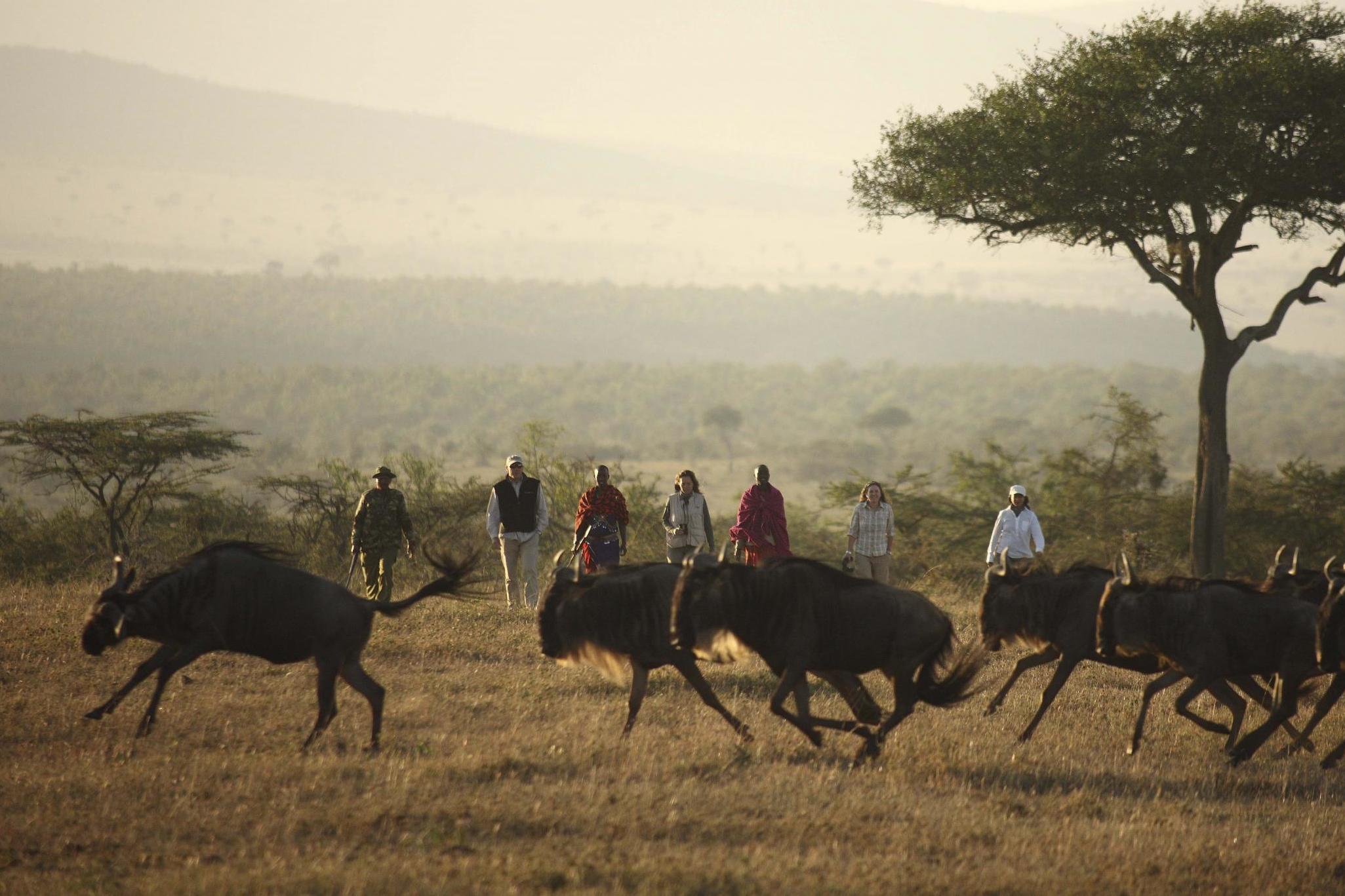 Distant dream: a walking safari in the Masai Mara of Kenya