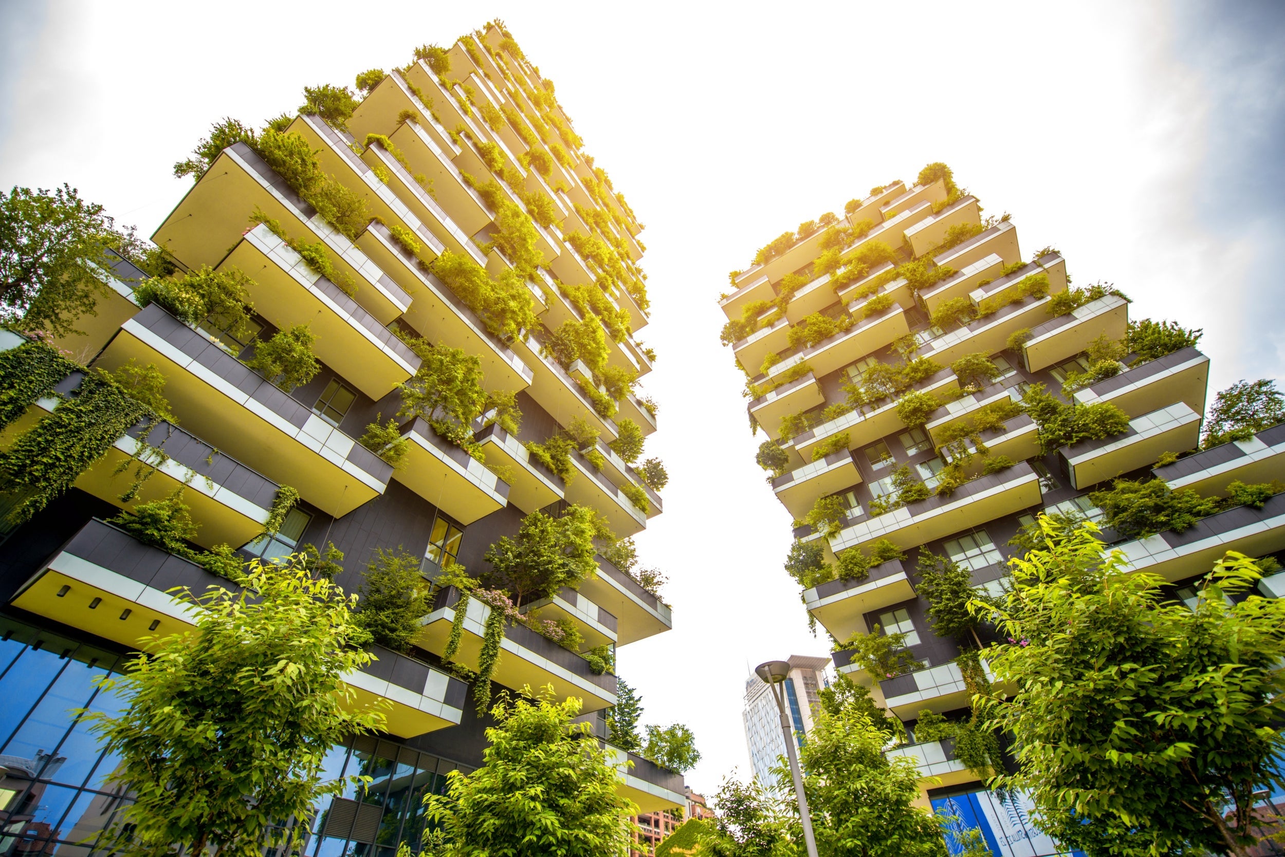 Tower of green: a residential building covered in plants in Milan, Italy