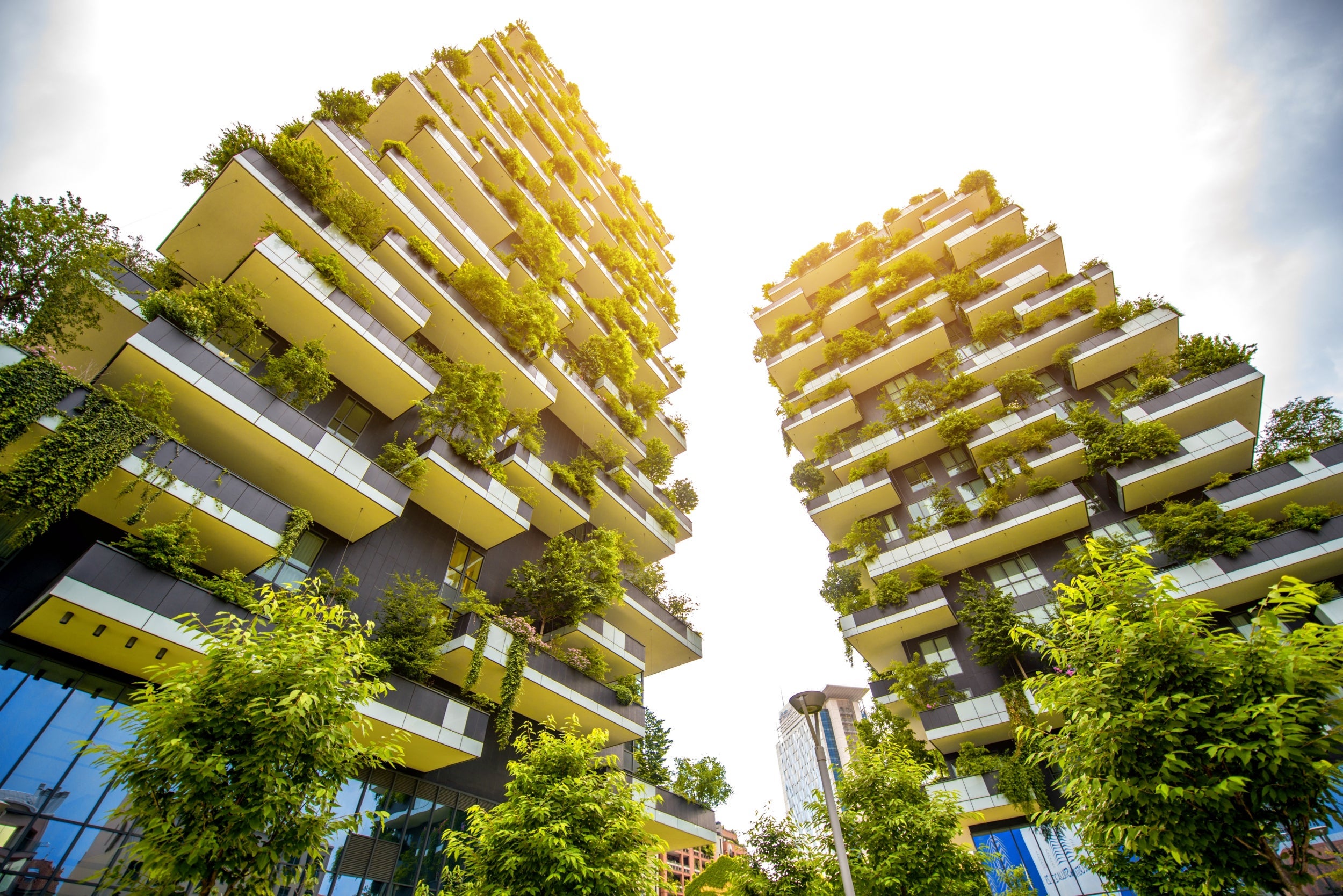 Tower of green:?a residential building covered in plants in Milan, Italy