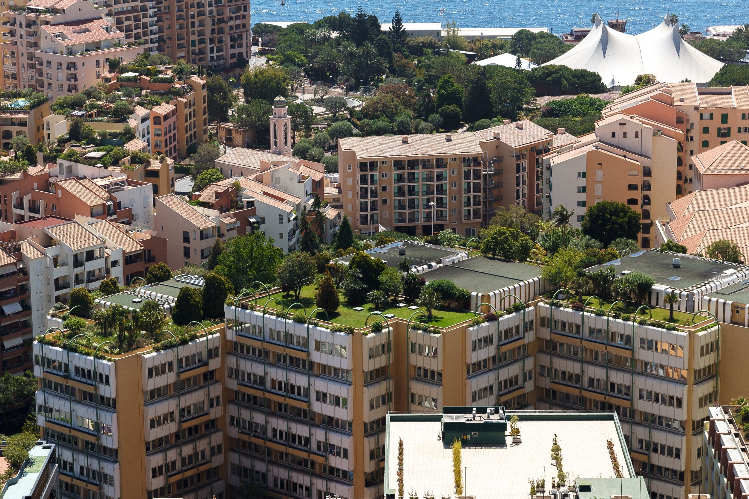 Leafy rooftops in Monaco