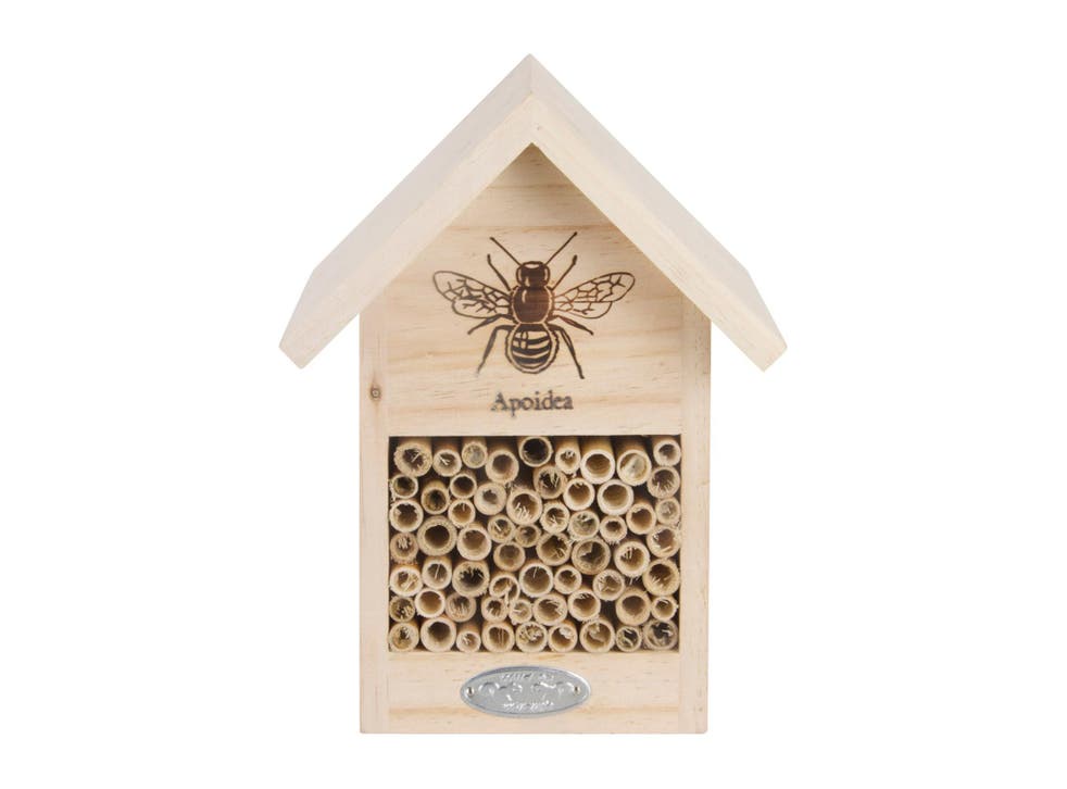 World Bee Day 21 How To Protect The Endangered Species The Independent World Bee Day 21 How To Protect The Endangered Species The Independent