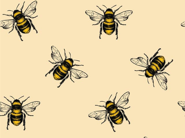 World Bee Day 21 How To Protect The Endangered Species The Independent