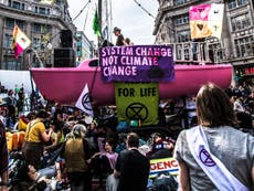 How Extinction Rebellion is redefining its image in lockdown
