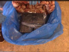 Gang smuggled hundreds of kilos of cocaine inside frozen chicken