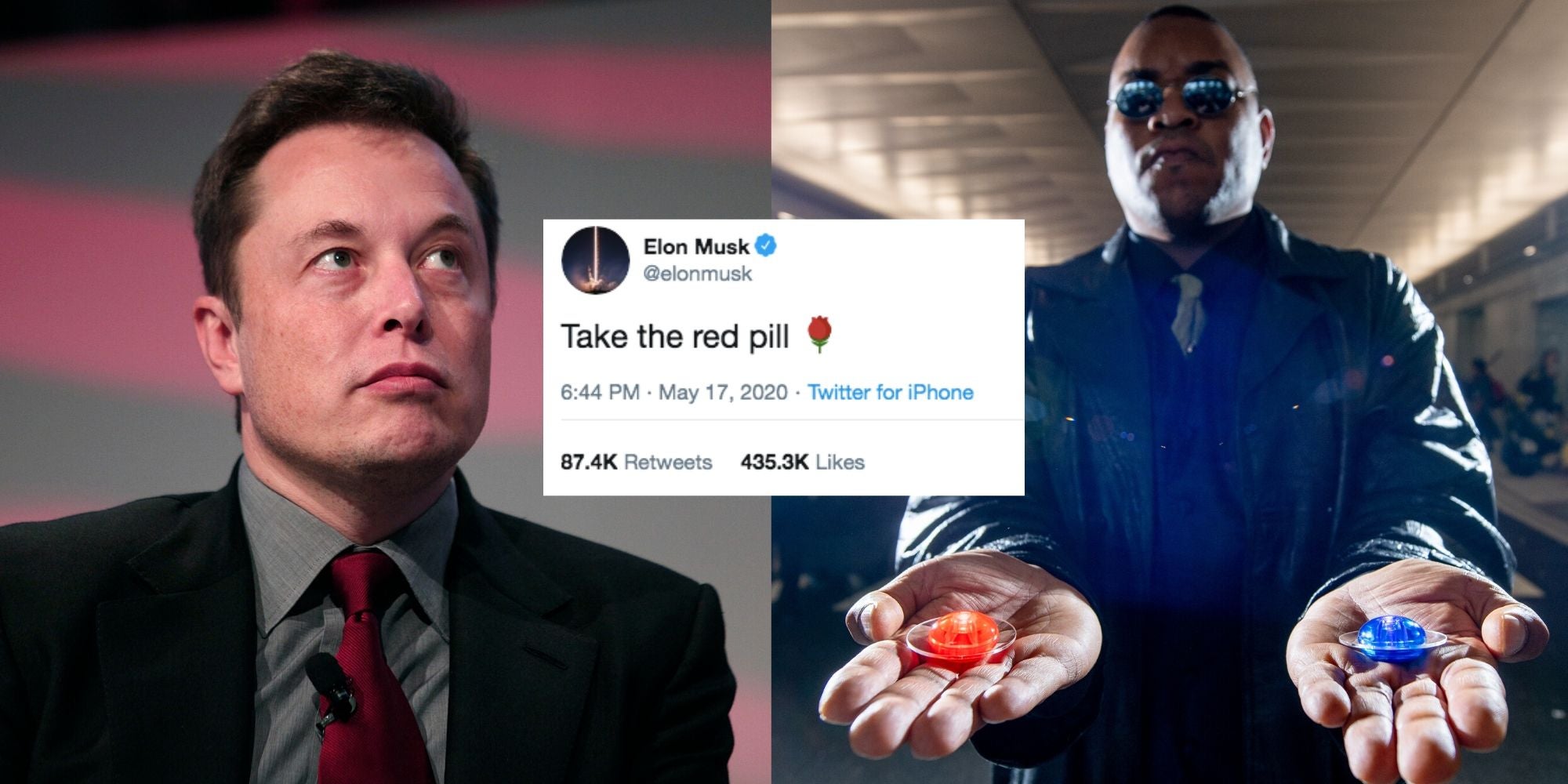 Take The Red Pill Why Did Elon Musk Tweet Alt Right Slogan Indy100 Indy100