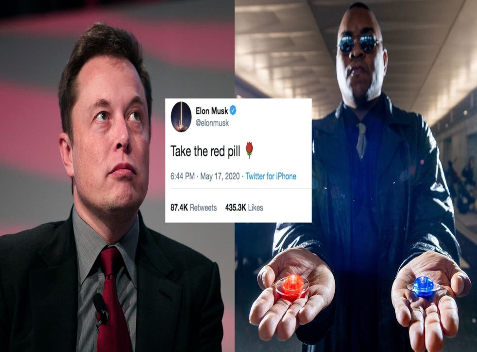 Take The Red Pill Why Did Elon Musk Tweet Alt Right Slogan Indy100 Indy100 Take The Red Pill Why Did Elon Musk Tweet Alt Right Slogan Indy100 Indy100