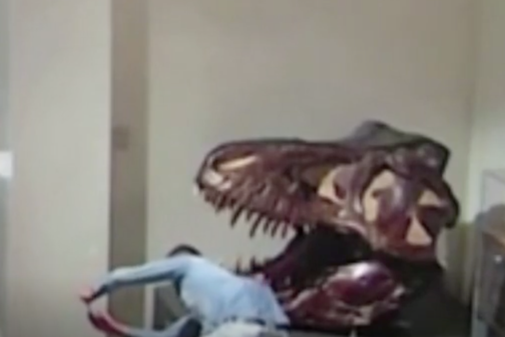 Night at the museum: Student charged after breaking into Australian Museum and taking selfies with dinosaurs