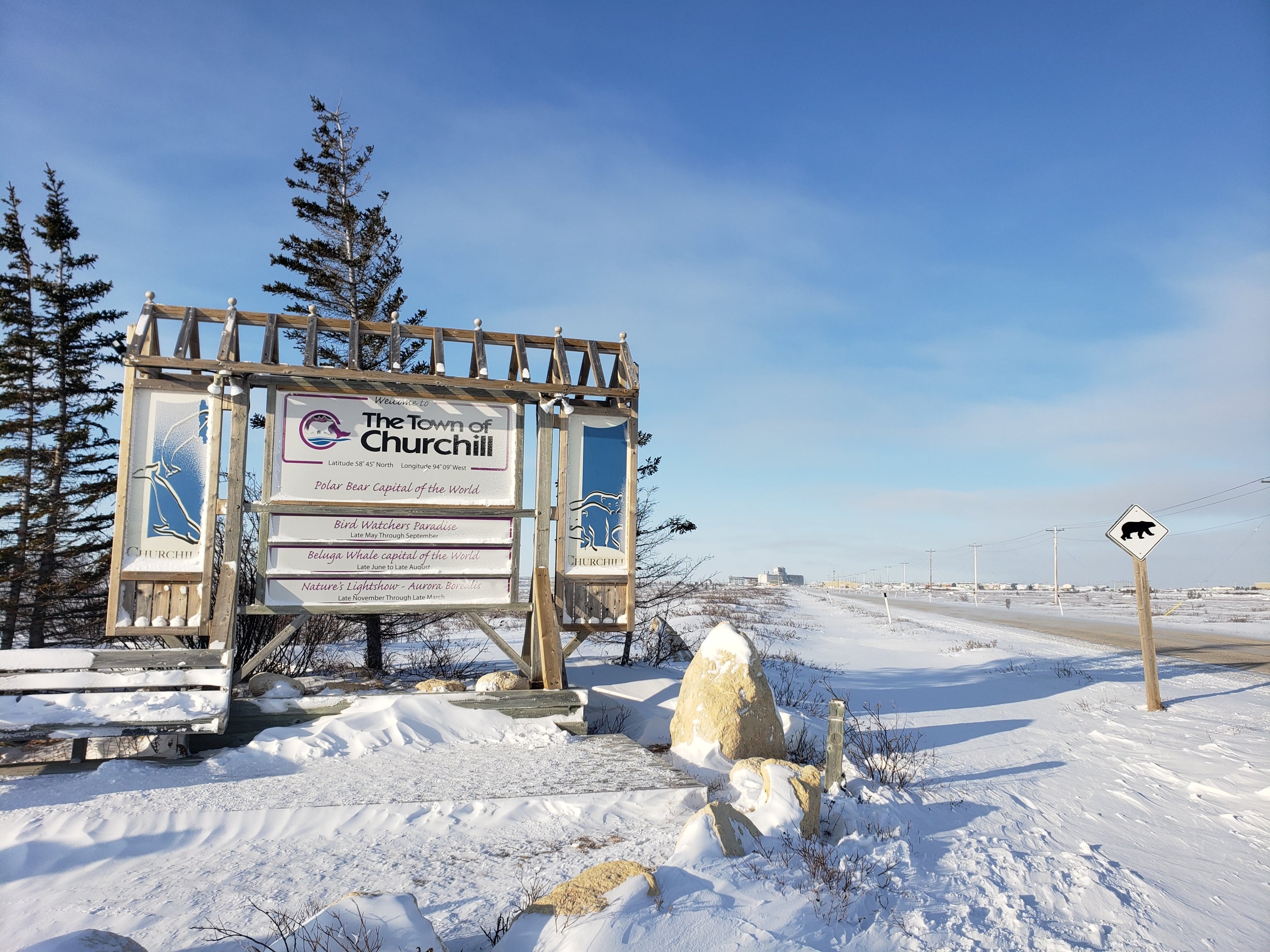 Beluga hotspot: Churchill, in Canada’s Manitoba province