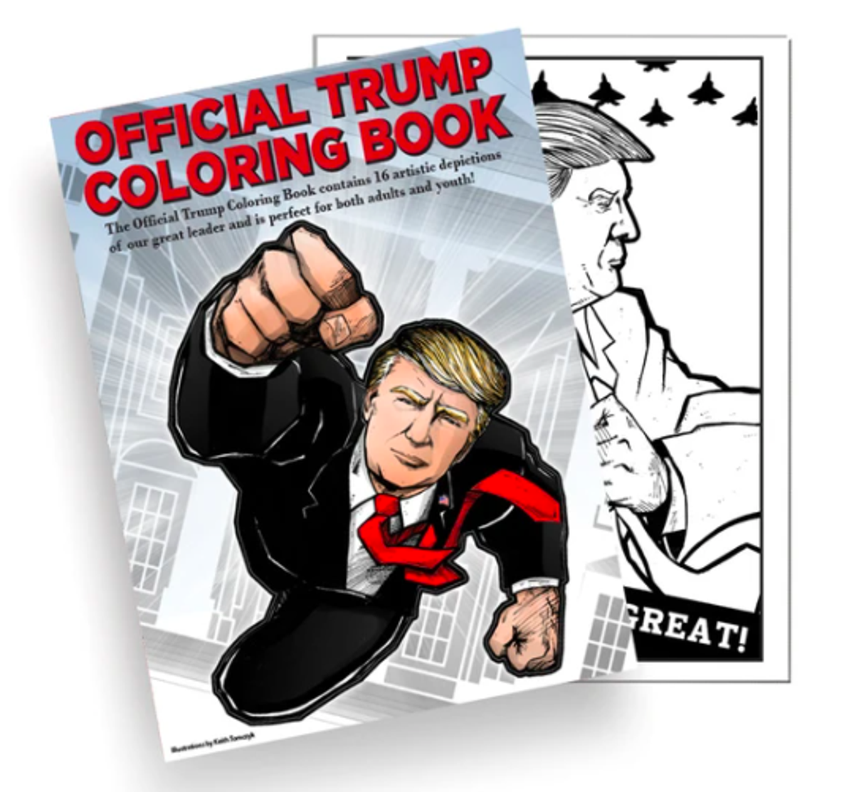 Trump campaign sends text to sell voters his colouring book as US