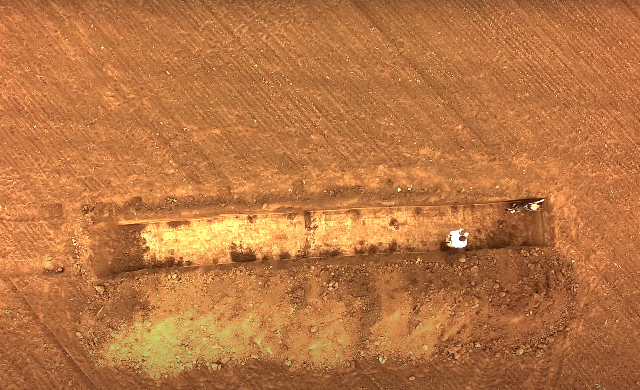 A team of dogs work on a burial ground (S PAS Special Purpose Dog Training Centre/YouTube)