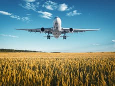 Two years of vegan living 'cancelled out by one long-haul flight'