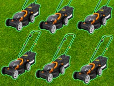 10 best lawn mowers: Petrol, electric and battery-powered models