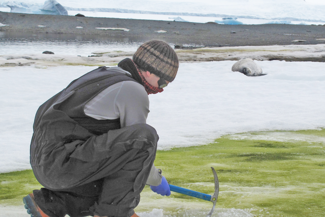Dr Matt Davey sampling snow algae at Lagoon Island, Antarctica