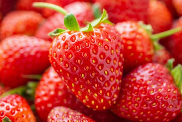 TikTok videos show how to remove bugs from strawberries (Stock)