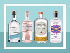 15 best British gins that make the perfect tipple