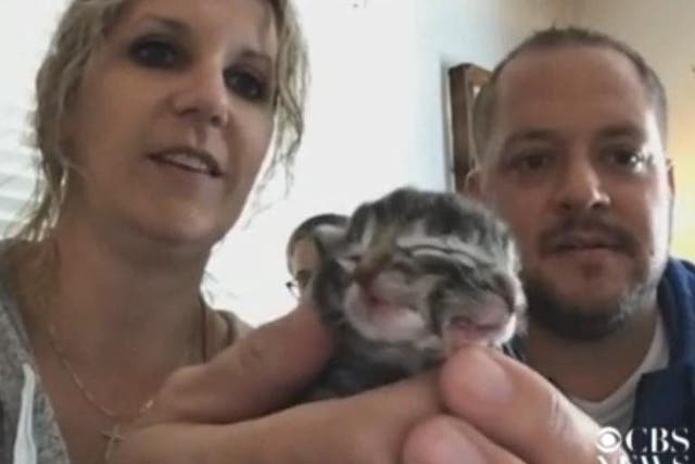 A kitten with two faces, named Biscuits and Gravy, was born in Oregon