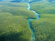 Tropical rainforests approaching ‘tipping point’, scientists warn
