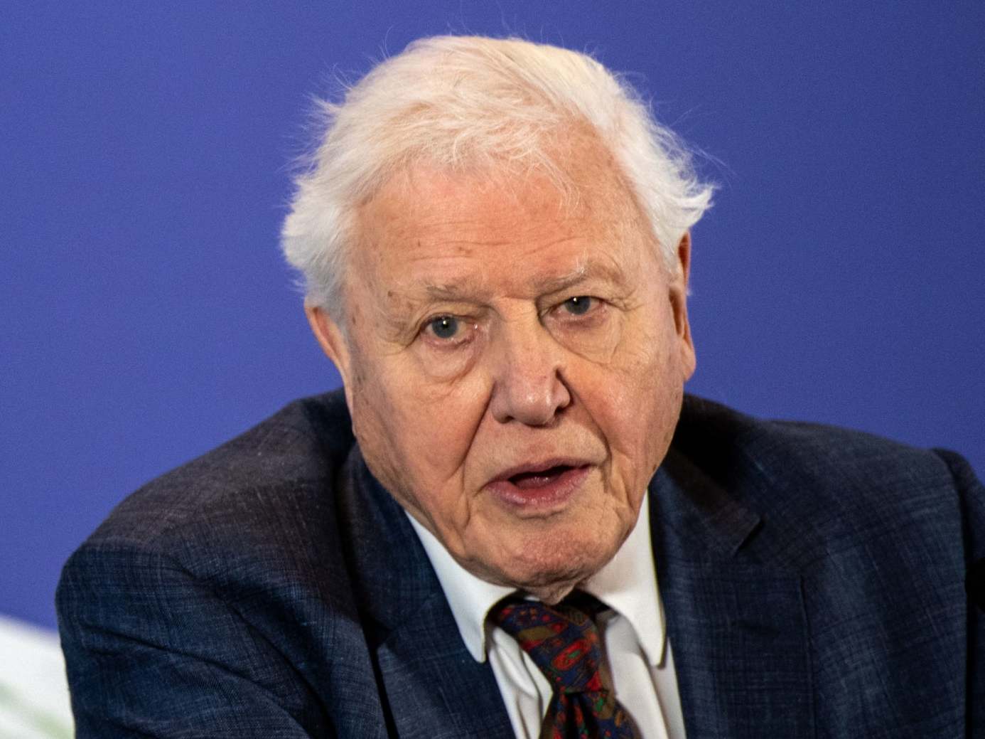 Sir David Attenborough warns climate change has been &apos;swept off front pages&apos; by coronavirus thumbnail