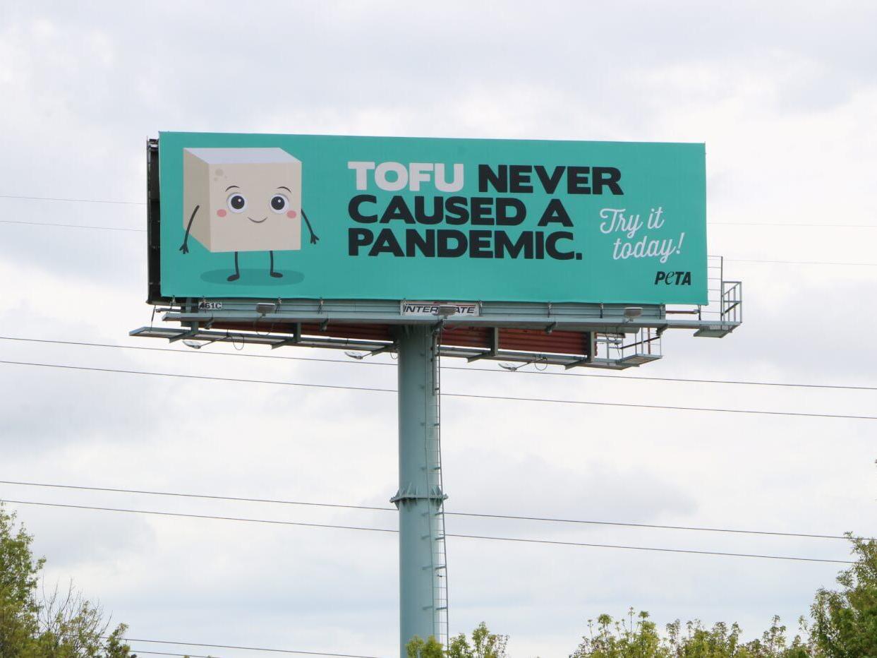 PETA erects coronavirus billboards saying &apos;tofu never caused a pandemic&apos;