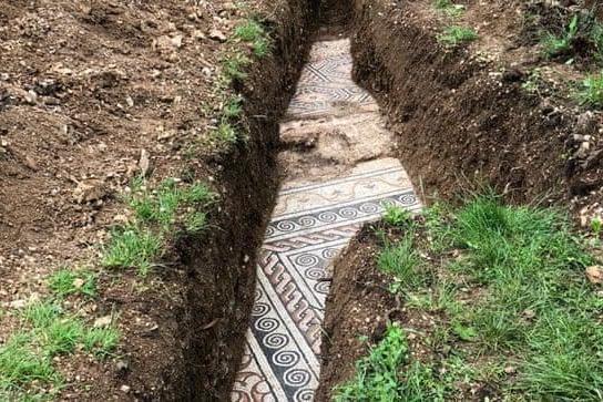 Roman mosaic floor dating back to &apos;3rd century AD&apos; unearthed in Italian vineyard