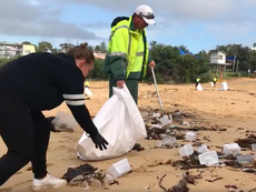 Surgical masks and plastic takeaway boxes litter Sydney beaches after containers fall from ship