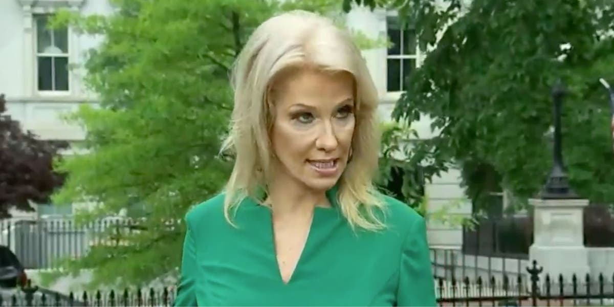 Kellyanne Conway suggests Trump revive regular coronavirus briefings that caused him many headaches