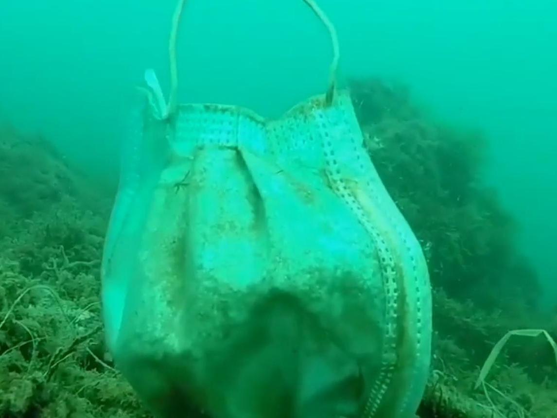 Latex gloves and face masks were found strewn along the sea floor