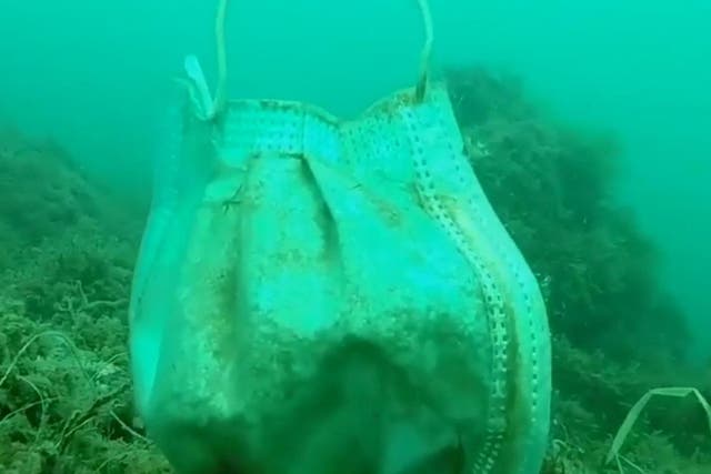 Latex gloves and face masks were found strewn along the sea floor