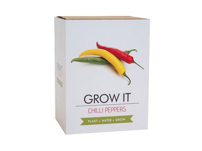 Growing your own chillis means you can have a much wider range than what is usually available in supermarkets