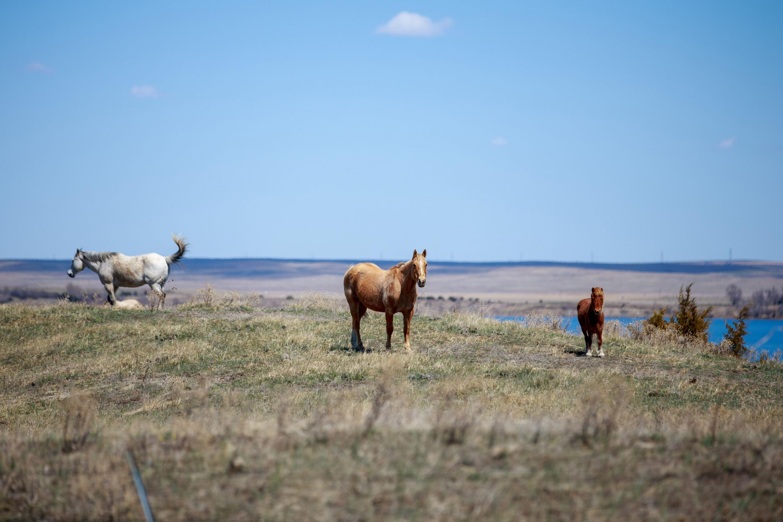 Native Americans cancel Sun Dances and other cultural ceremonies to halt spread of coronavirus