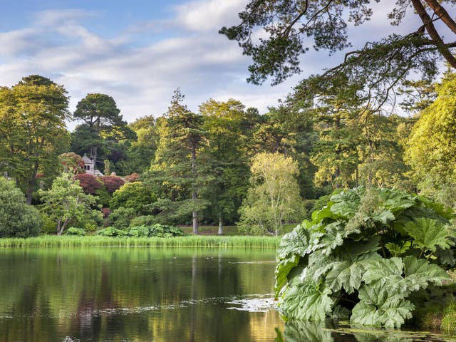 A lake at the National Trust's Mount Stewart site, Co. Down, Northern Ireland