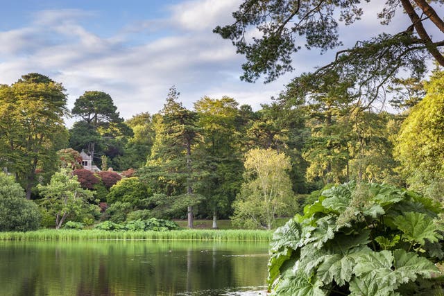 A lake at the National Trust's Mount Stewart site, Co. Down, Northern Ireland