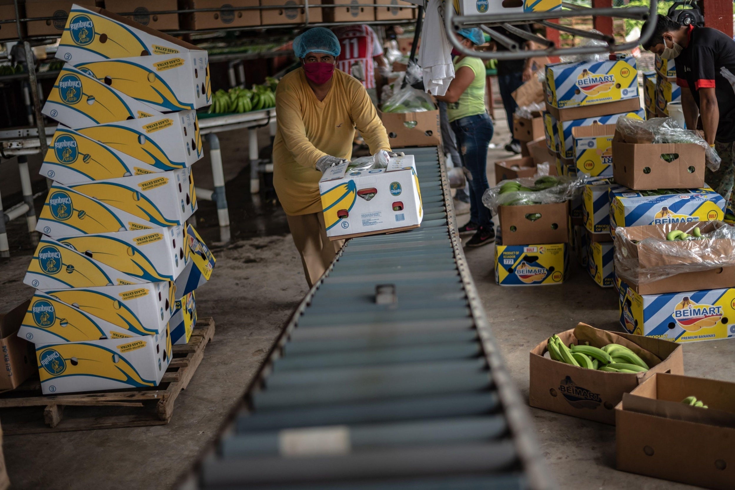 In Ecuador, spot prices for a 40lb (18kg) box have been driven down to as little as $2 or $3