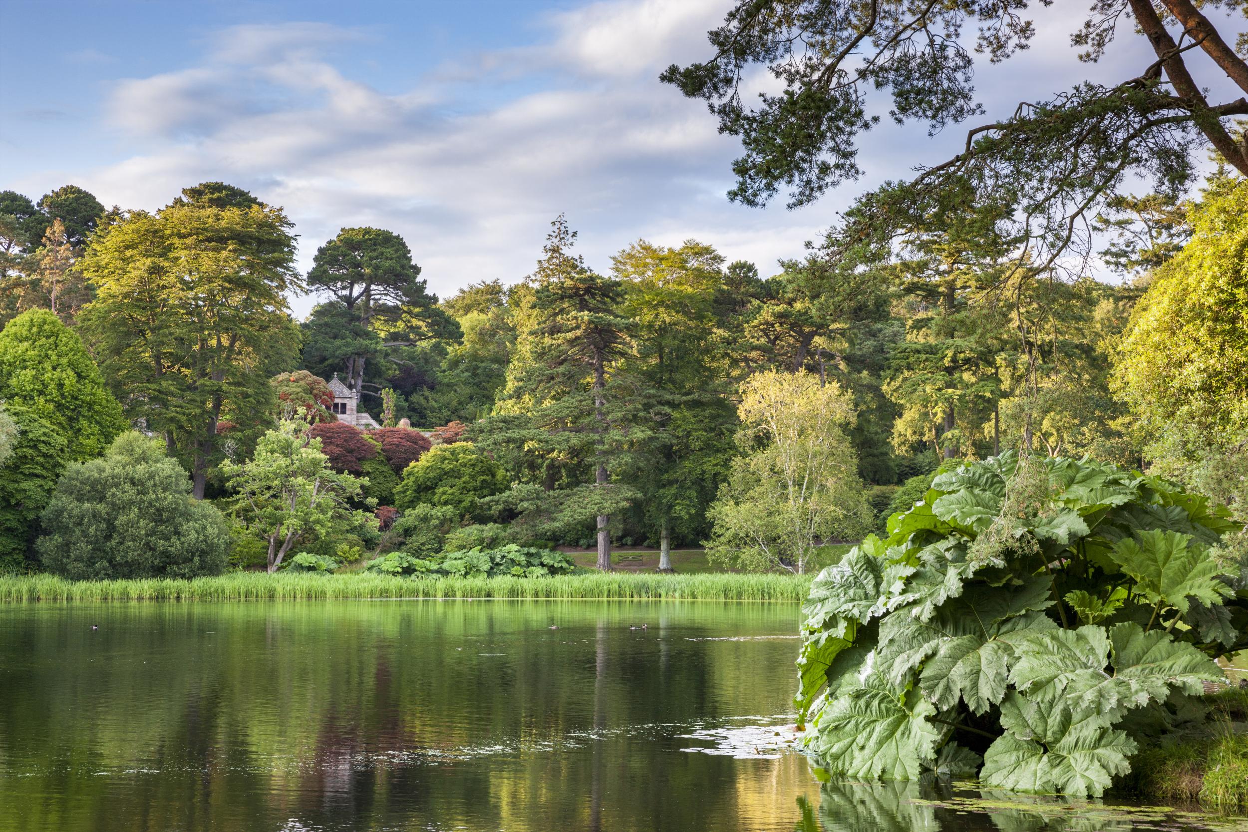 Mount Stewart